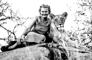 Мне собственно пофиг. Я не знала этого факта, а озвучили это вы. Лучше бы что полезное и умное про Джорджа и Джой Адамсон. Про этого хаксли я слышу впервые и сильно сомневаюсь что он принёс кому то пользу, несмотря на его типо биологические регалии. Судя по его словам там не биология, а озабоченность в голове была. А вот они несомненно принесли и приносят своими фильмами, книгами до сих пор! И именно они стоят у истоков вообще сохранения животных, запрете охоты, борьбы с браконьерами и организацией заповедников.
 А по мнению таких вот "биологов" эти фото точно доказывают лесбиянство Джой и диких кошек. А вы это ещё и повторяете.