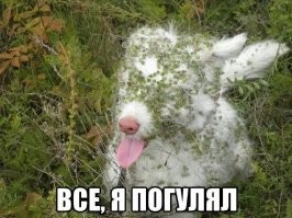 Когда удача повернулась не тем местом: подборка снимков с внезапными неприятностями