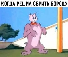 Судя по массе бородатых дрищей, то скорее будет так.
