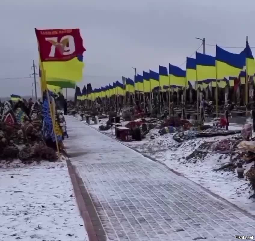 Фото кладбищ украины с флагами