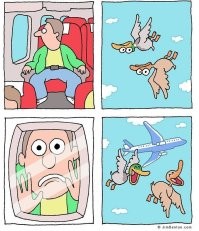 А вот это реально повеселило.
