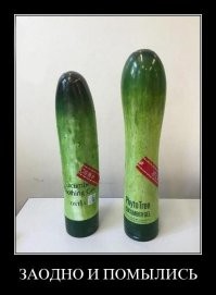 Смешные и познавательные картинки