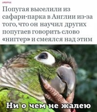 Анекдот:
Мужик приходит в птичий магазин и требует попугая-полиглота, говорящего на всех языках. Продавец показывает ему экземпляр, и мужик начинает "экзаменовать" птицу.
-Парле де франсе?
-Уи.
-До ю спик инглиш?
-Йес.
-Шпрехен зи дойч?
-Я, я!
-Идиш?
- Поц! Посмотри на мой нос!