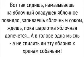 Если вместо сока делать сидр, то дурные мысли спилить яблоню не появятся