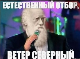 Бразильский Человек-паук не справился с суровой реальностью