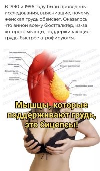 Оскорбительный «мужик», смена пола чукчами и другие интересные факты и истории