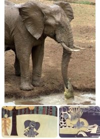 Весёлые картинки