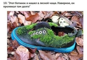 Представляю как он удивится найдя дохлую белочку, что она не такая рыжая как при жизни