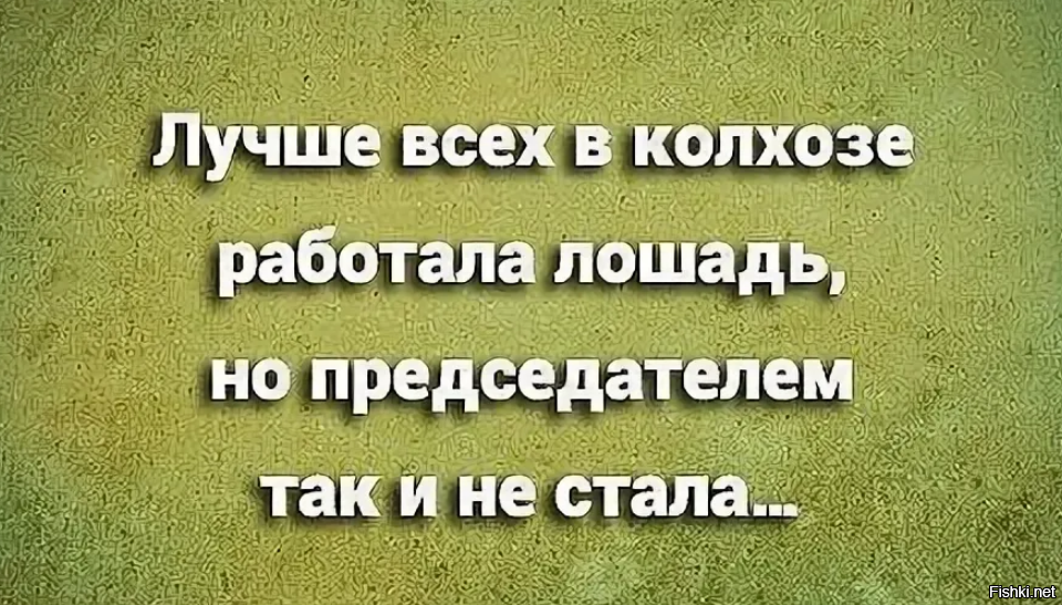 Больше всех в колхозе работала лошадь но председателем картинка