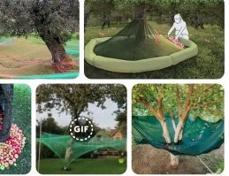 Смешные и познавательные картинки