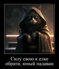 У меня кот равнодушен к ёлке и пакетам.Наверно это ненормально.