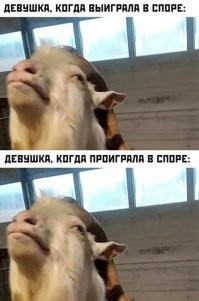 Мы поняли. В любом случае - коза.