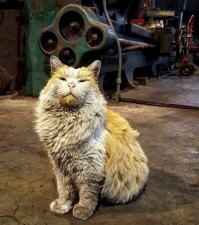 Потому как на ЗАВОДЕ работаю....