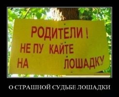 15 изображений, на которых происходят очень странные дела