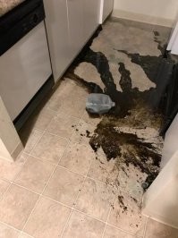А что ЭТО делало на кухонном столе? Кот из гаража принёс?