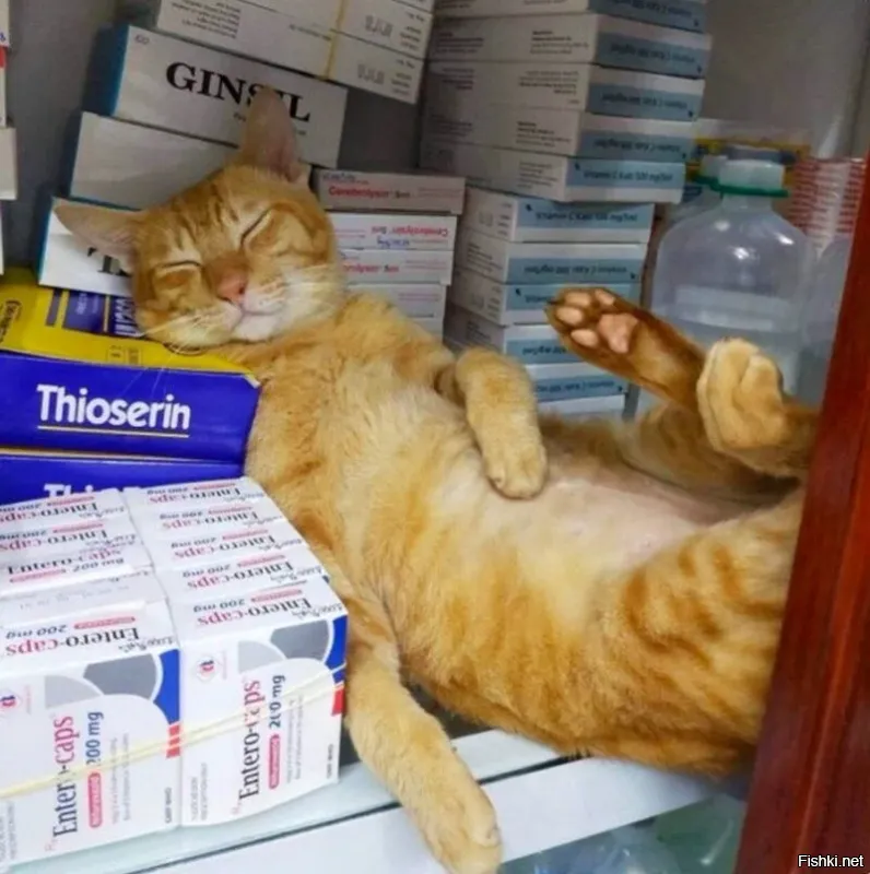 Это не самолечение.Кот барыжит лекарствами.Просто у него сейчас перерыв.
