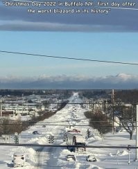 Добавлю. Общий вид 25 декабря