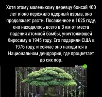 Ядерные бомбы не падают на землю, а взрываются в воздухе на большой высоте