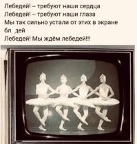 «Огурчики пришлёшь?» Путин позвонил юной жительнице Запорожской области