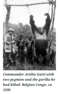 Найдите отличие. Хотя по фото и так понятно...