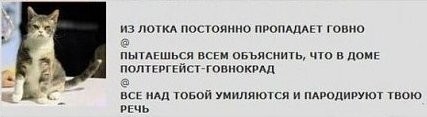 Комментарии и картинки из соцсетей. Свежак за 28 декабря