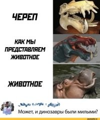 Знакомьтесь, Рамсес: ученые впервые воссоздали лицо египетского фараона