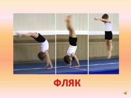 Фляги                    Фляк                     Фляки