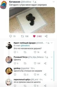 Комментарии и картинки из соцсетей. Свежак за 28 декабря