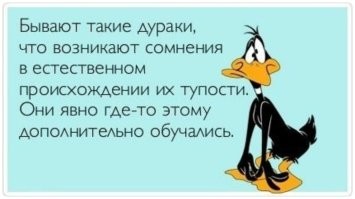 В Подмосковье женщина отдала мошенникам около миллиона рублей, опасаясь, что деньги переведут в помощь ВСУ