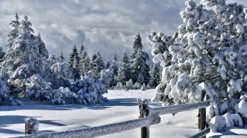Вот это КАЙФ!!! А то что у вас это коммунальщики <span style='color:gray'>[мат]</span>!