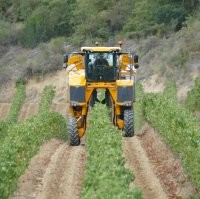 Намешалось