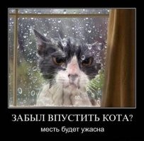 Очень недовольного кота достали из вентиляции