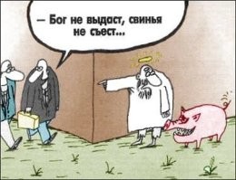 В Англии "банда" свиней держит народ в страхе