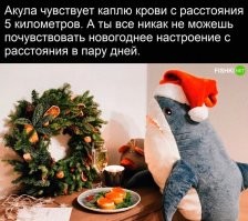 я понял в чем прикол
- лично мне созданию новогоднего настроения мешают мысли о работе, по этому в следующем году я устрою все так что бы с 29го освободиться от работы и всех контактов по ней