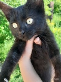 у мене всю ночь это пугает и тыгыдычит, еще  и подрасло....