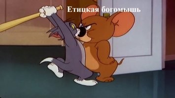 Смешные и познавательные картинки