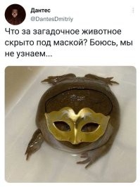 Комментарии и картинки из соцсетей. Свежак за 31 декабря
