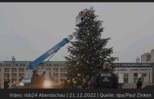 В Берлине экоактивисты елку у бранденбургских ворот изуродовали, макушку спилили.  Полиция даже не поняла сначала, что это не работники, и не проверили, что за техника въезжает.