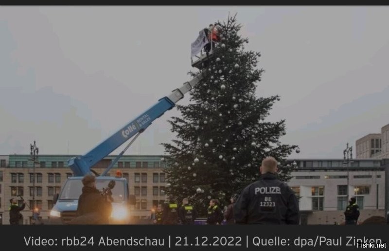 В Берлине экоактивисты елку у бранденбургских ворот изуродовали, макушку спилили.  Полиция даже не поняла сначала, что это не работники, и не проверили, что за техника въезжает.