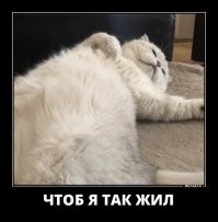 "Майка и Дикий пробуют икру лося". Ну, кто жрёт, а кто-то ловит "крошки"...