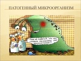 Отмазки, они такие отмазки...
Напомню, что прием сильных антибиотиков (при болезнях) напрочь убивает микрофлору (те самые бактерии) в человеке. Страдальцу потом еще и принимать препараты для нормализации этой самой флоры приходится. Так вот - без "флоры" толстячки как-то не худеют. И толстоватые дамы, желающие похудеть - не спешат воспользоваться антибиотиками для удаления микрофлоры и резкого похудания (а дамы чего только не перепробовали дабы спокойно жрать по ночам тортики). Есть подозрение, что это исследования "британских ученых"