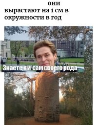 Новогоднее застолье близится...