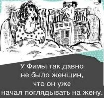 Фотоприколы и прикольные картинки