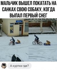 Поменял на собаку