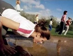 Привет глистная инвазия!