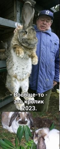 Блин, все комментаторы спят, что ли? 
 Нам с Андрюхой Ивановым отдуваться? 
 Ну, за идентичность!