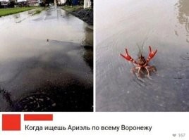 Когда ищешь в Воронеже Кита Флинта, что б спеть вместе "Smack my bitch up"
