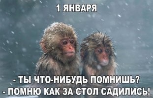 Фотоприколы и прикольные картинки