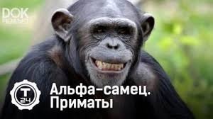 13 ярких примеров того, что муж и жена - одна сатана