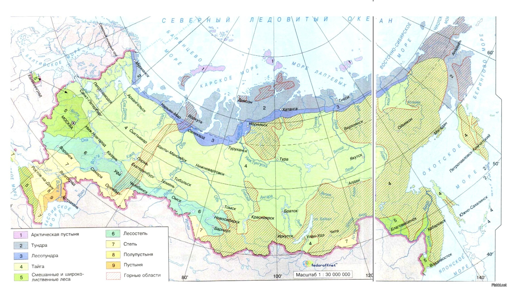 Черно белая карта природных зон россии 4 класс